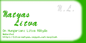matyas litva business card